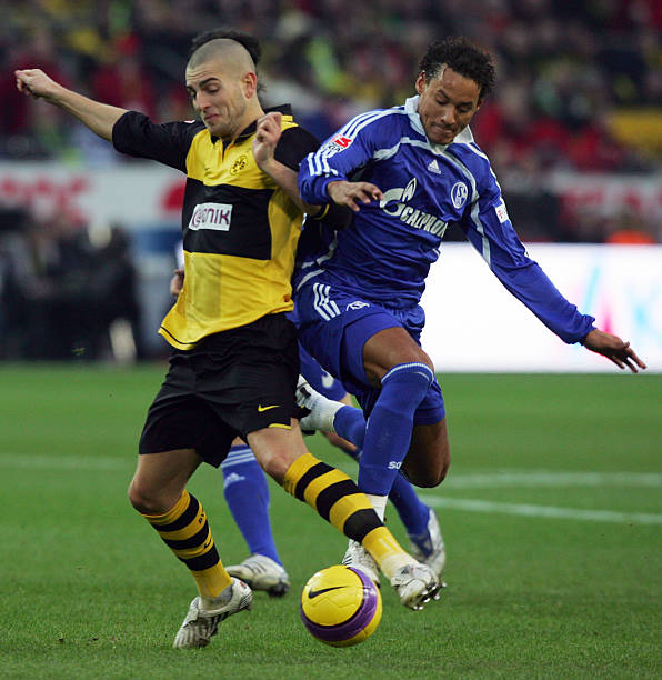 素的影响 素的影响