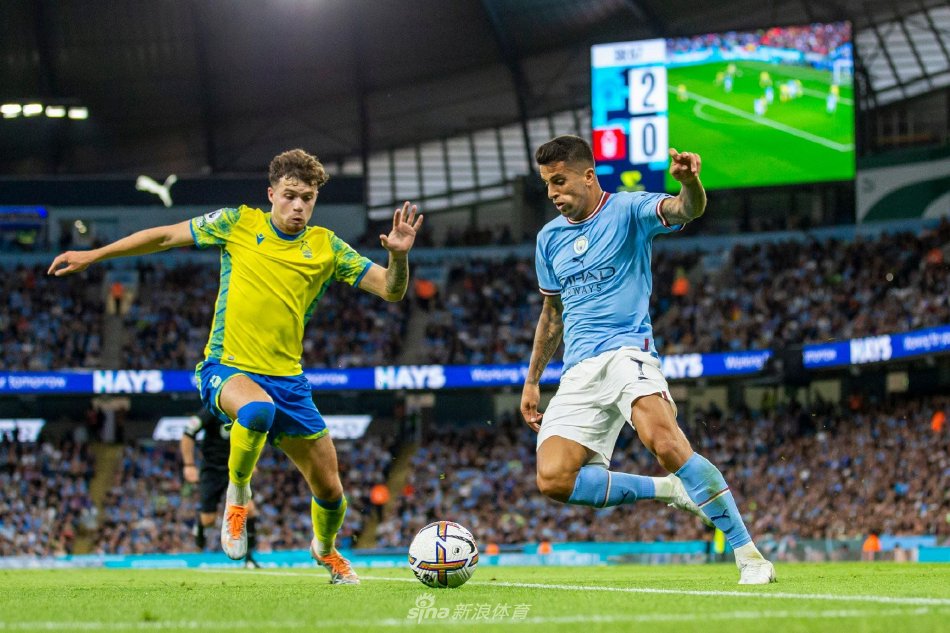 自我认知 自我认知